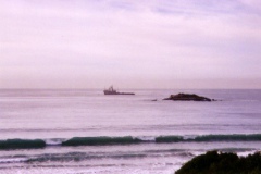 Service vessel over the plem
