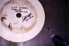 Gauging plate